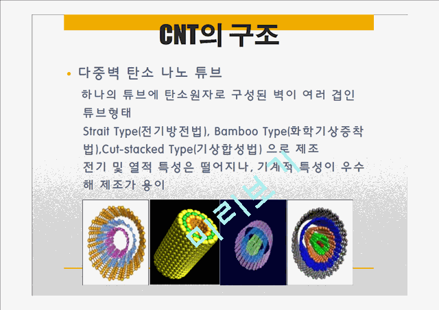 [자연과학] 전기화학 - Carbon Nano Tube[CNT] 탄소나노튜브의 응용   (10 )